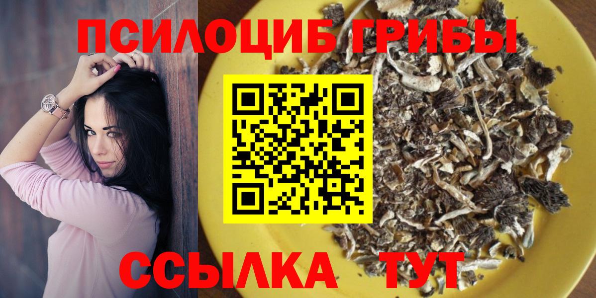 Шелехов  Галлюциногенные грибы прущие грибы  Псилоцибиновые грибы Psilocybine cubensis  Вход с VPN 